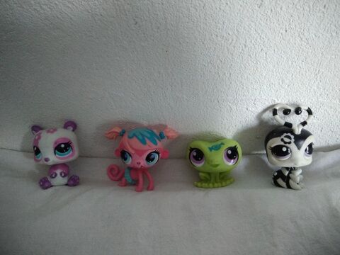 petshop 3 Le Chtelet-en-Brie (77)