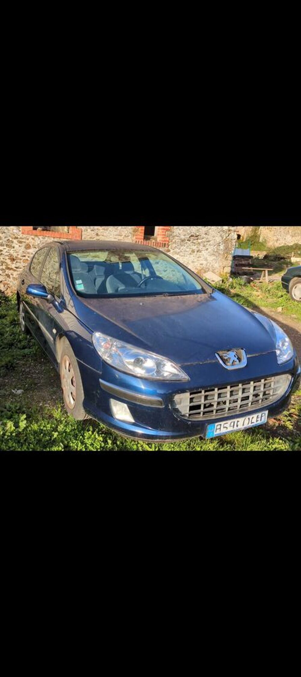407 2.0e 16V 141ch Premium Pack A 2006 occasion 53410 Port-Brillet