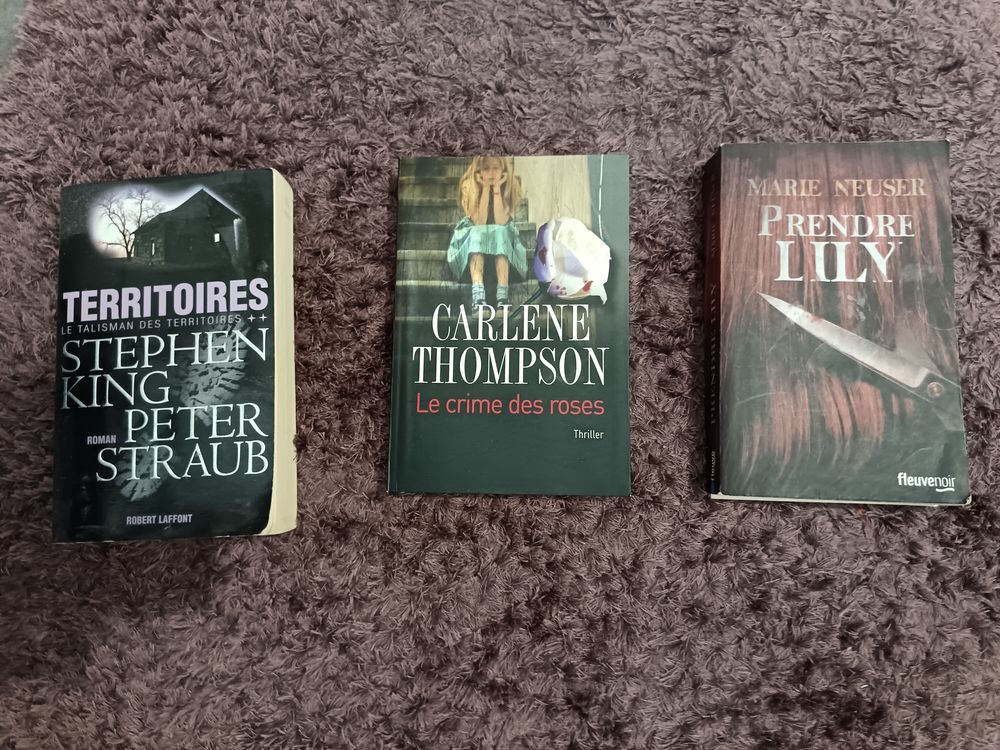 Livres romans thriller &agrave; 2 € l unit&eacute; Livres et BD