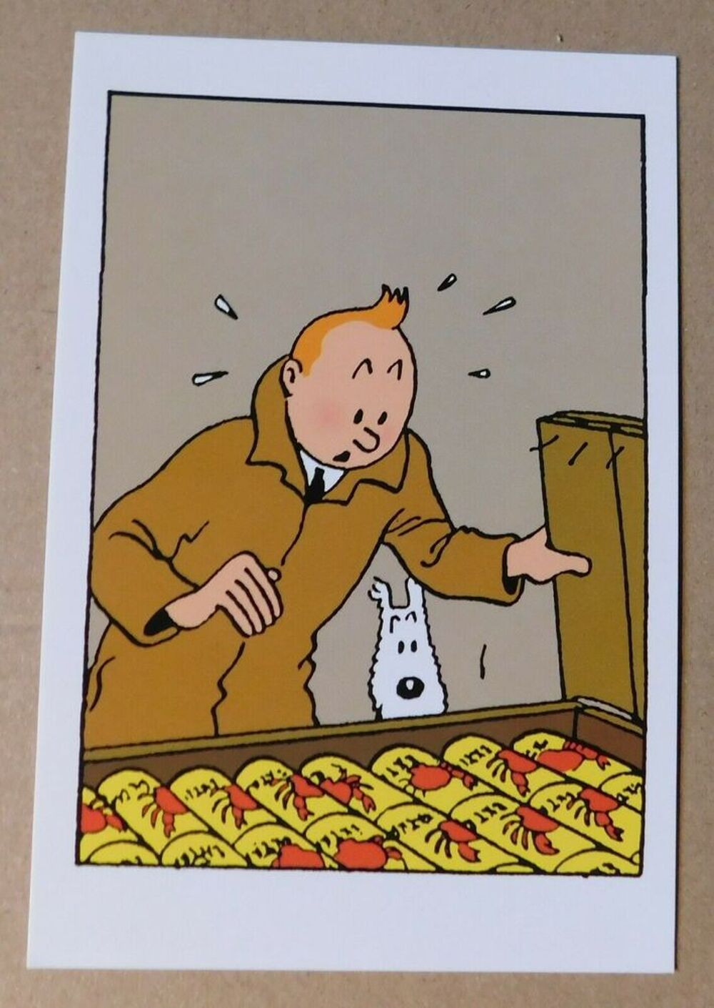 Boite TINTIN et MILOU Le crabe aux pinces d'or
Tintin s'int&eacute; Jeux / jouets