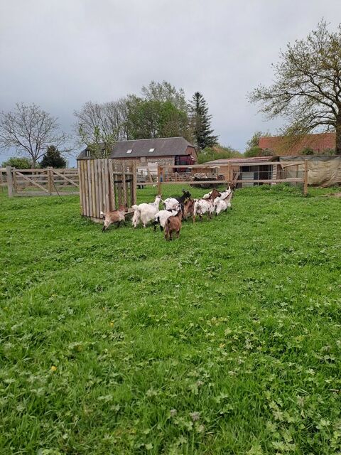 Chevreaux 150 59550 Maroilles