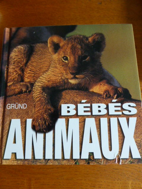 Bbs animaux Angela S. Ildos 5 Rueil-Malmaison (92)