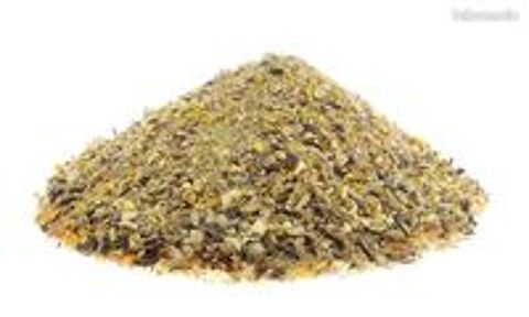   Graines blé orge maïs tournesol 