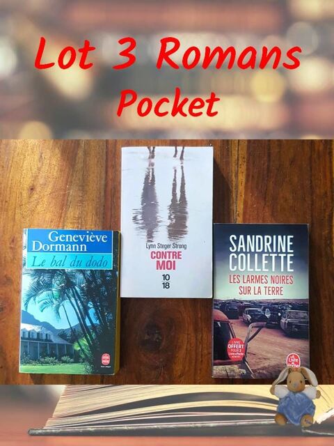 Littérature contemporaine - Lot 3 romans Poche Pocket 5 Bondoufle (91)