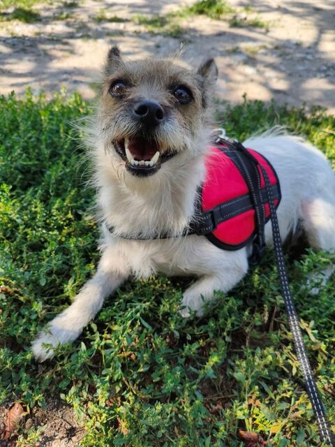 MAFFIE 0 75018 Paris