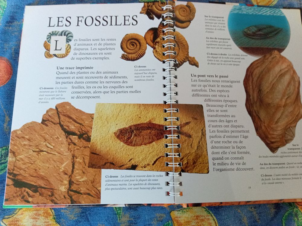 Livre Le Monde Min&eacute;ral Livres et BD