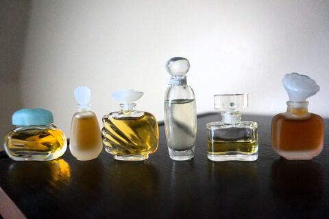Miniatures de Parfums pour collectionneurs 15/pce 15 Carvin (62)