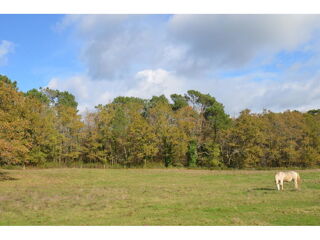  Terrain � vendre 5899 m�