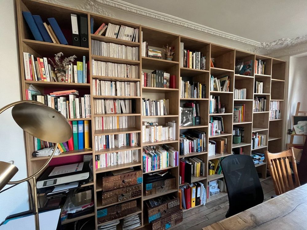 Biblioth&egrave;que contemporaine (d&eacute;j&agrave; d&eacute;mont&eacute;e) L 430 x H 250 Meubles