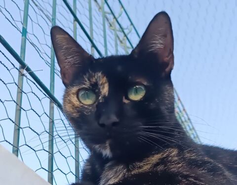 CARMEN 230 27620 Gasny