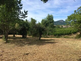  Terrain  vendre 1910 m Joannas