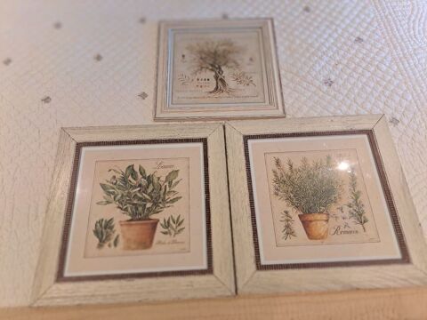 Tableau provencal St Aygulf (83)