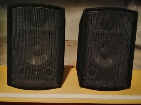 Paire d'enceintes professionnelles  39 Notre-Dame-de-Monts (85)