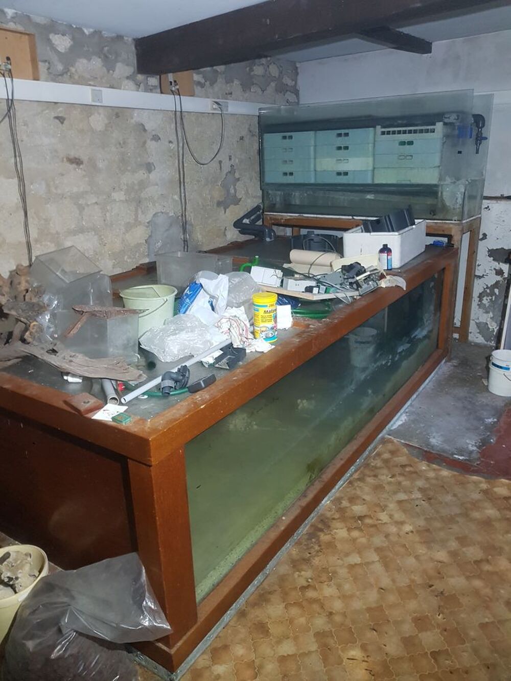   grand aquarium 