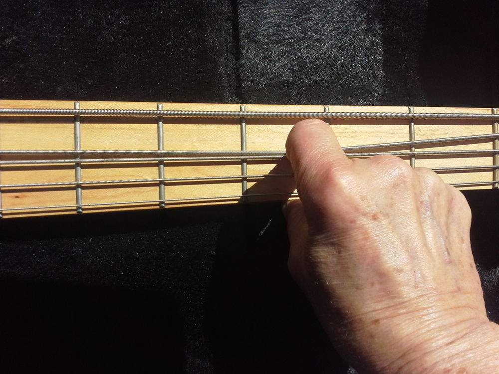 Basse MTD Kingston Z5 Active/Passive Customis&eacute;e Instruments de musique
