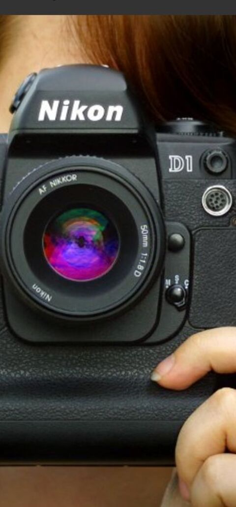 NIKON D1 0 Toulouse (31)
