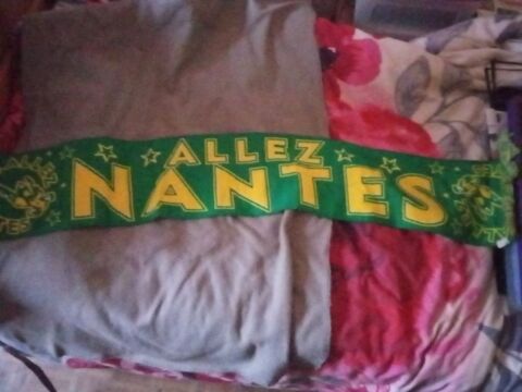 Pull FCNantes 20 Nantes (44)