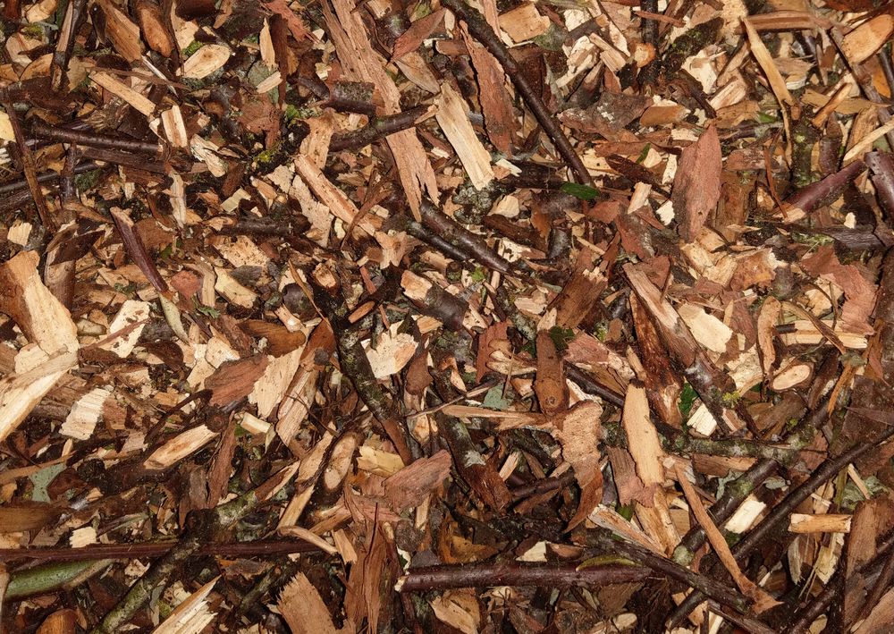 Broyat de bois pour paillage de vos massifs et jardins Jardin