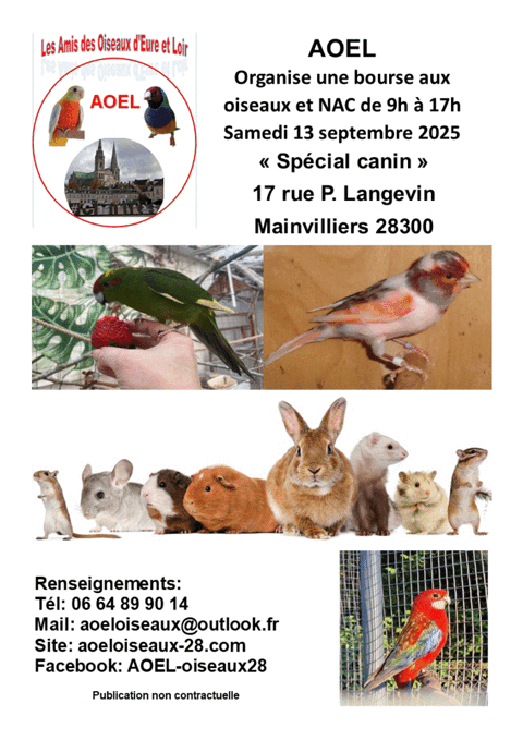 Bourse aux oiseaux 50 28300 Mainvilliers