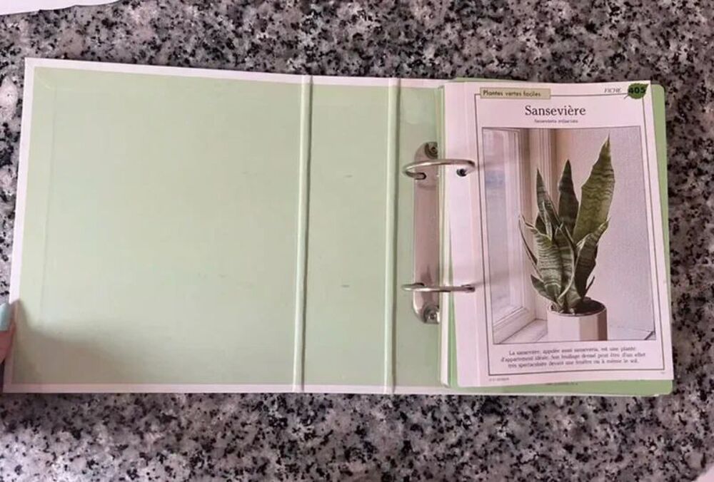 Soin &amp; Beaut&eacute; des Plantes. Classeur Jardinage Illustr&eacute; Livres et BD