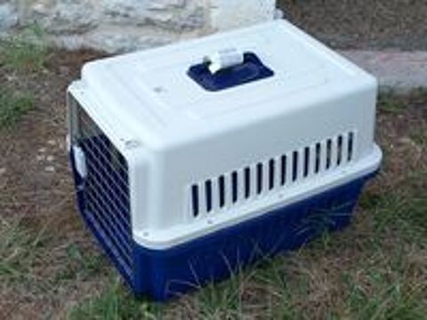   Cage de transport CG5 normes IATA pour chien de taille moyen 