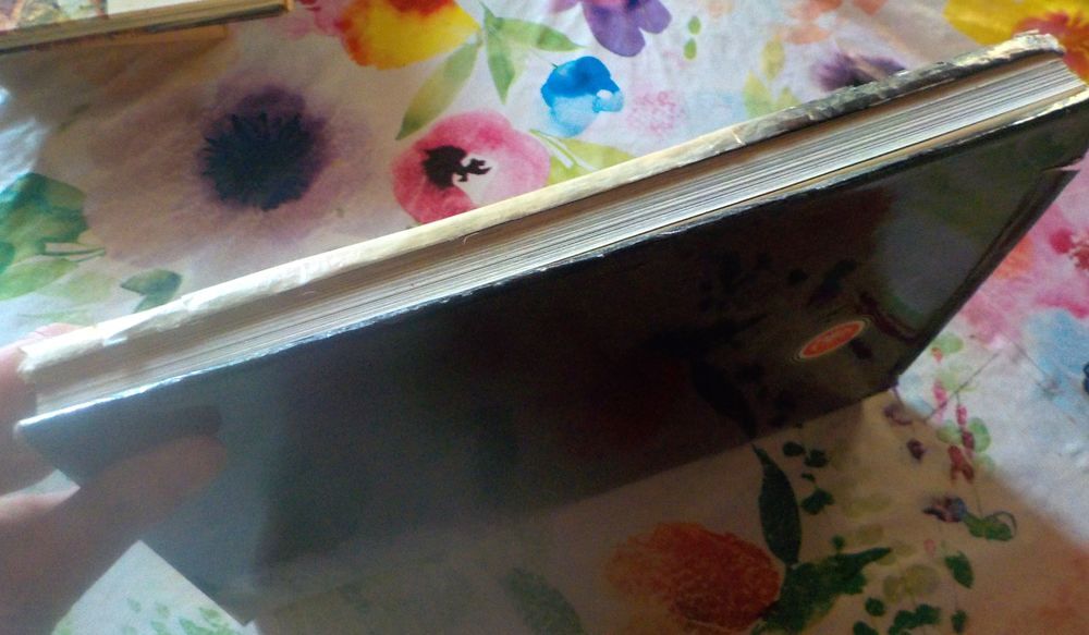 LAROUSSE DU CHAT Livres et BD