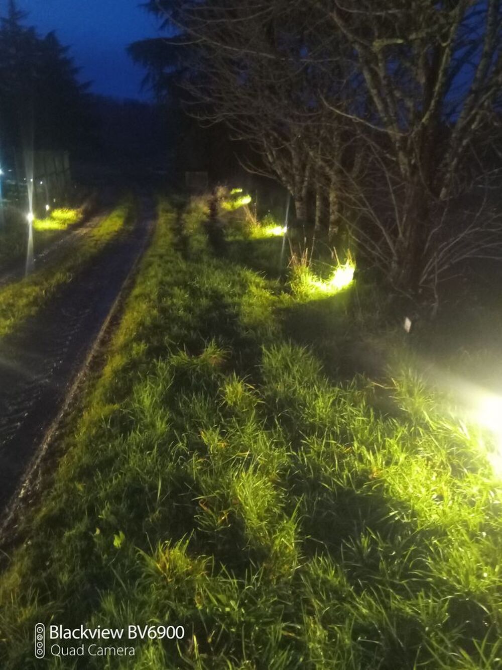 Spot LED Ext&eacute;rieur &Eacute;tanche &agrave; Piquer IP65 Solaire 7 watts Jardin