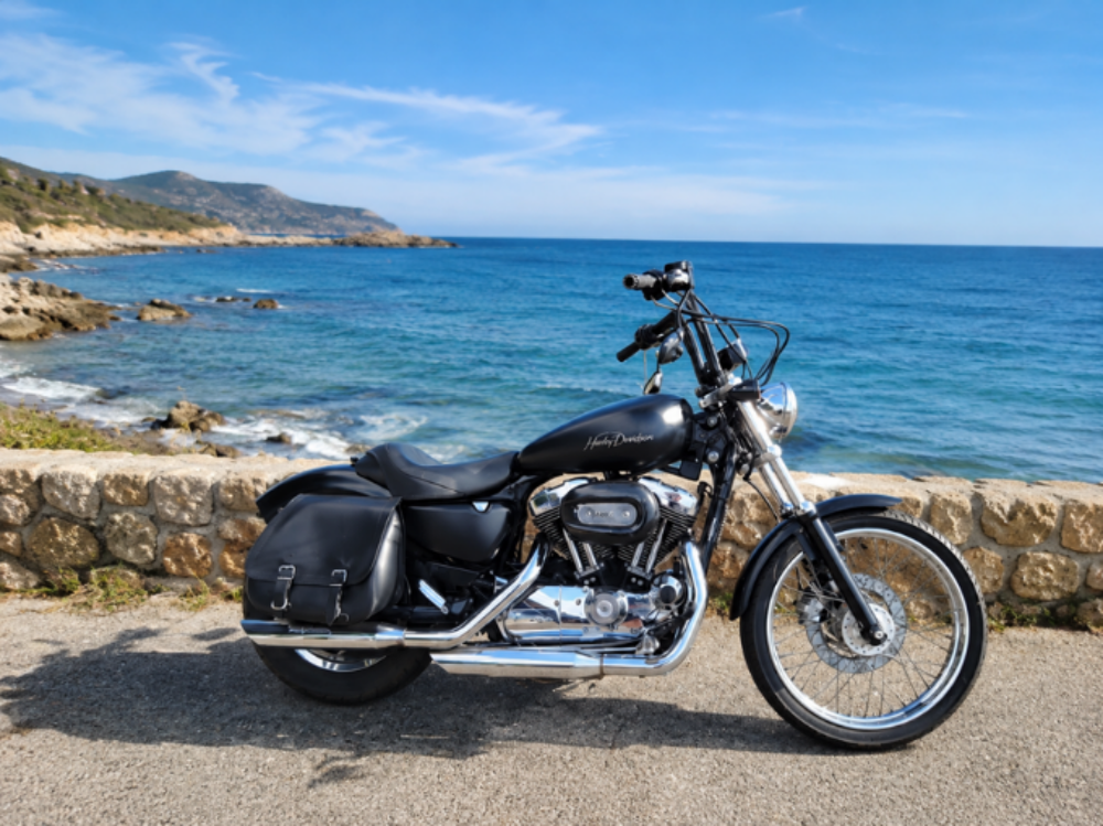 HARLEY-DAVIDSON 2004 occasion 22300 Lannion