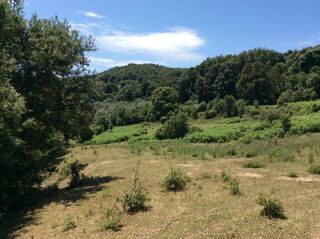  Terrain à vendre 16000 m²