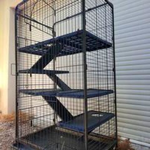   Grande cage gros rongeurs 