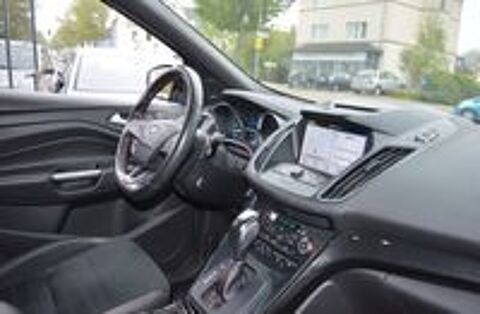 Kuga 2019 occasion 20260 Calvi