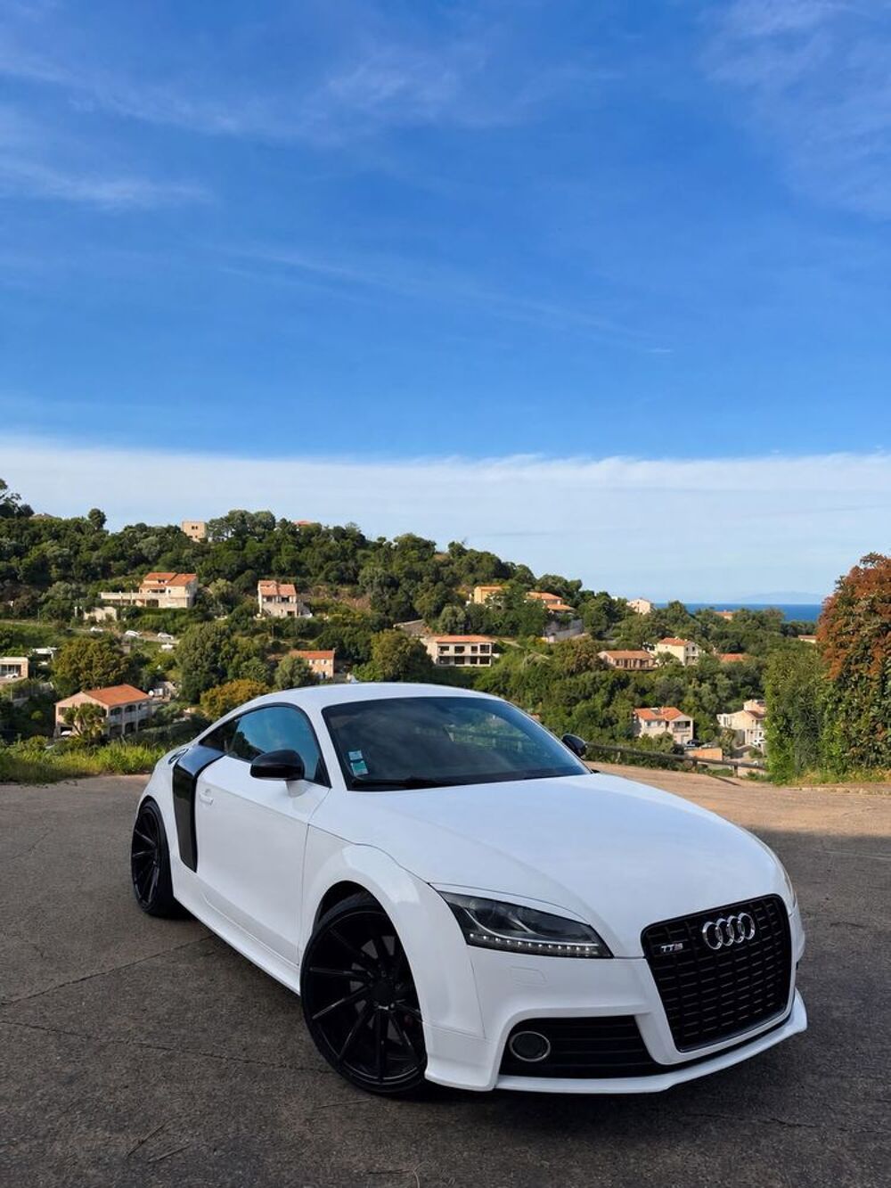 TT S TTS Coup&eacute; 2.0 TFSI 272 Quattro S-Tronic A 2010 occasion 20213 Penta-di-Casinca