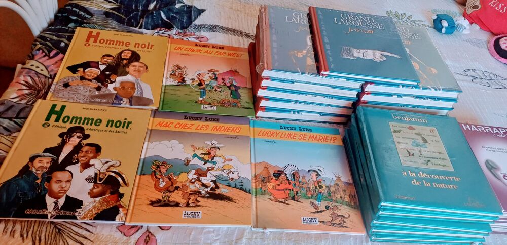 Livre et bd Livres et BD