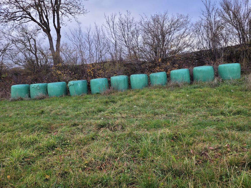 Cultivateur 3 poutres. Jardin