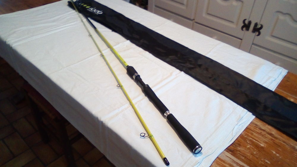 canne leurre IODA Sports