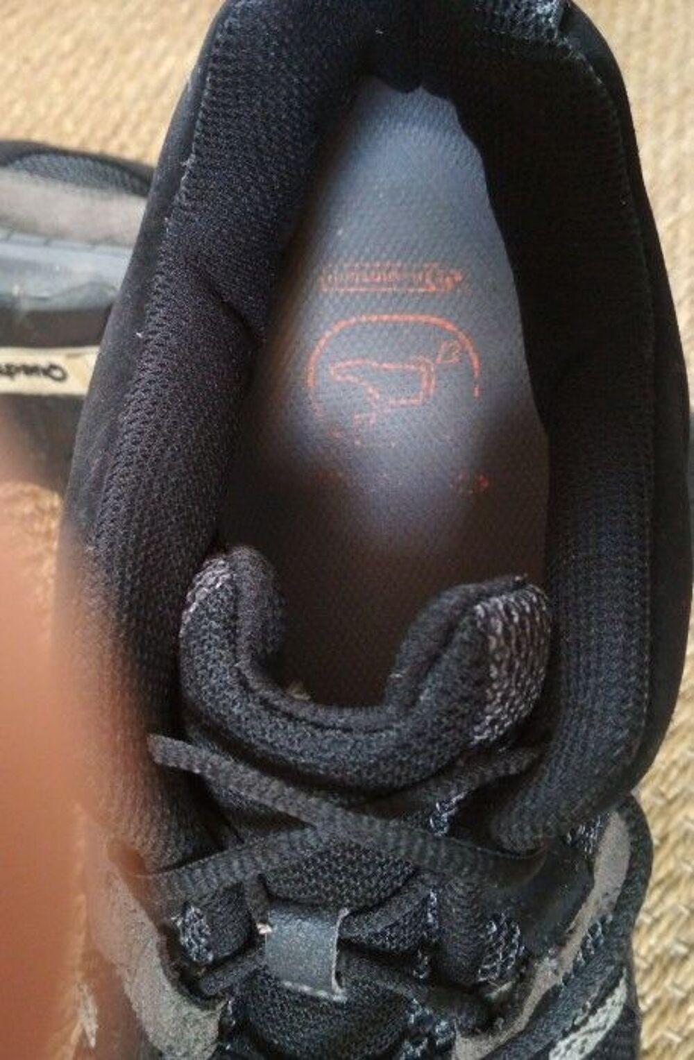 Baskets Quechua pointure 48 Chaussures
