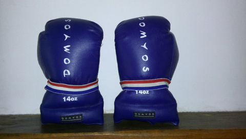 gants de boxe Domyos - 14 oz 10 Pierrefitte-sur-Seine (93)