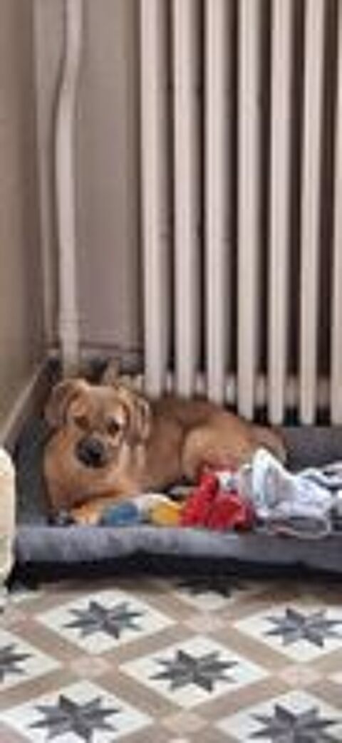   Maidy � l'adoption  