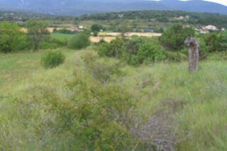  Terrain à vendre 9200 m²