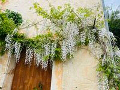   Entretien jardinage  