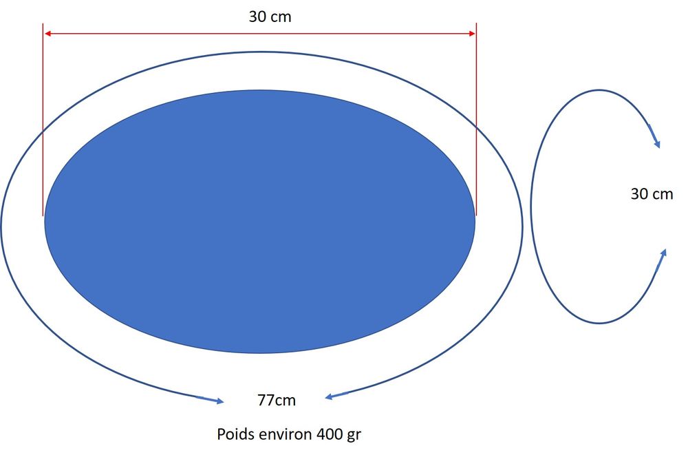 Ballon de rugby Sports