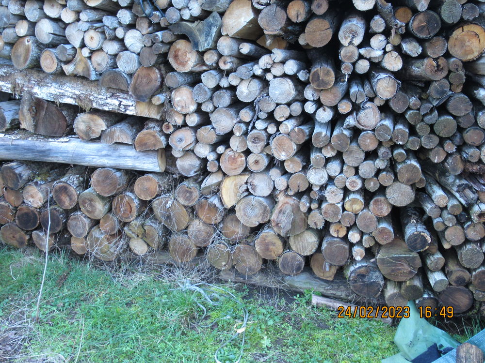Bois de chauffage chataignier Jardin