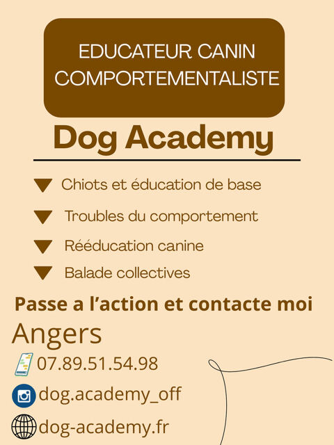 Éducation canine 0 49100 Angers