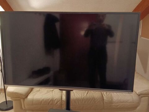 TV Toshiba 126 cm 50 pouces 100 Mazamet (81)