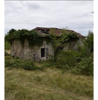  Terrain à vendre 40000 m² Cieurac