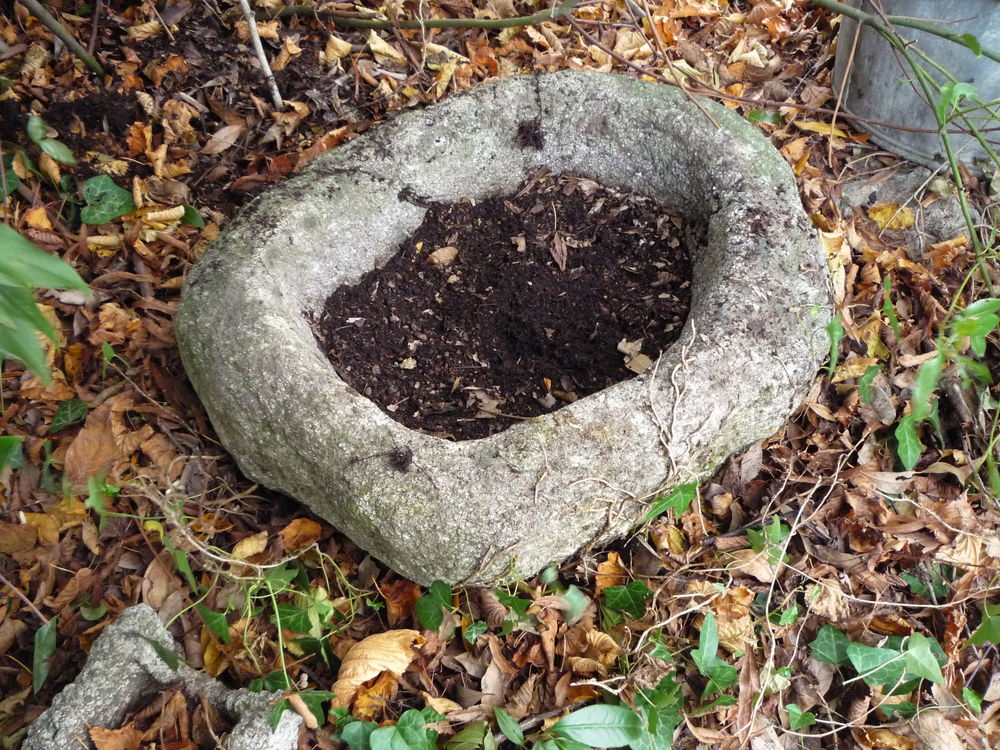Auge en granit Jardin