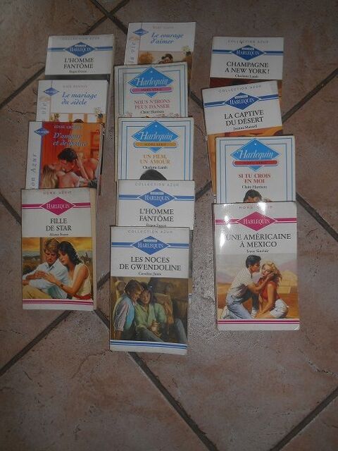 LOT DE 12 LIVRES DE POCHE COLLECTION HARLEQUIN 30 Saint-Denis-en-Val (45)
