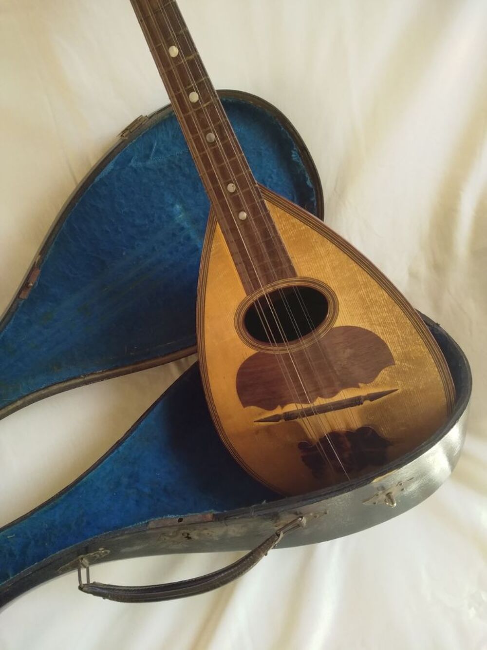 MANDOLINE NAPOLITAINE Instruments de musique