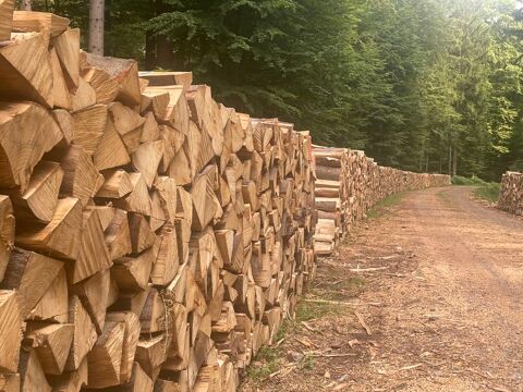 Bois de chauffage Marlenheim (67)