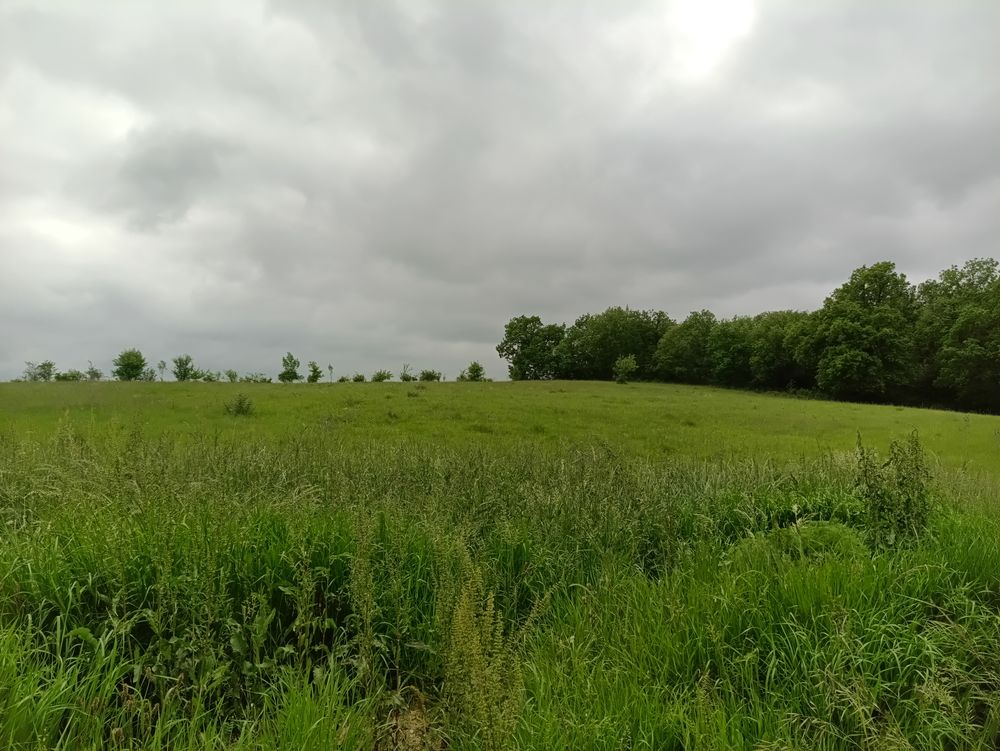 Vente Terrain Terrain de 1586 m2 à bâtir avec CU Saint-antonin